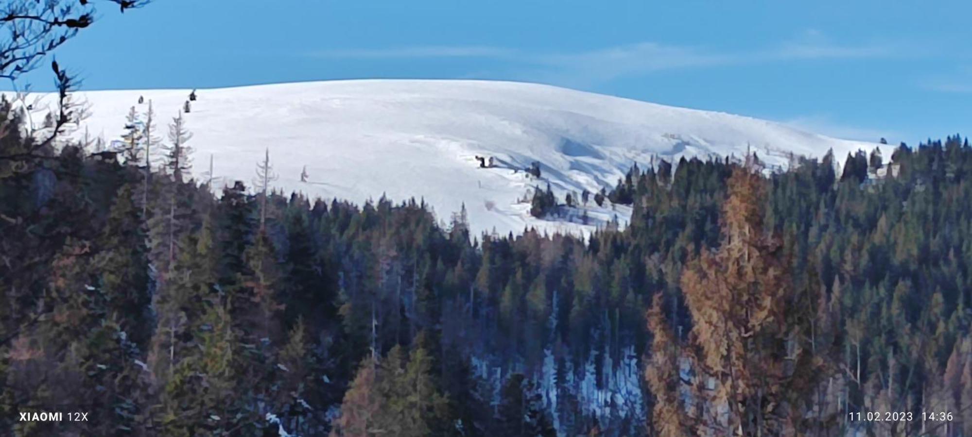 Schicke Ferien Wohnung Mit Tollem Ausblick In Schwarzwald. Villingen-Schwenningen Exterior foto